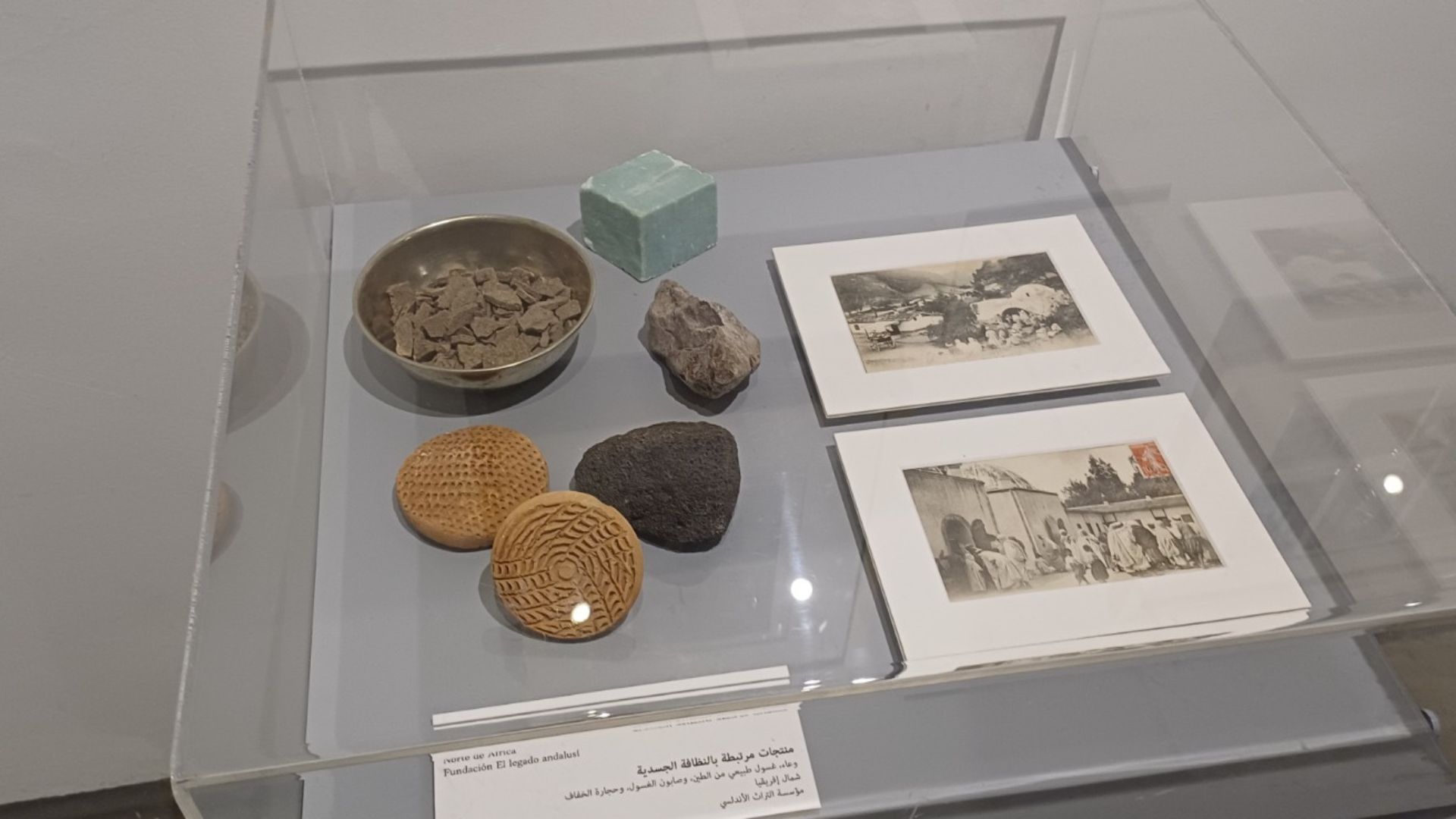 الأميرة وجدان الهاشمي ترعى افتتاح معرض الحمام في منطقة حوض البحر الابيض المتوسط .. من المشرق الى الاندلس