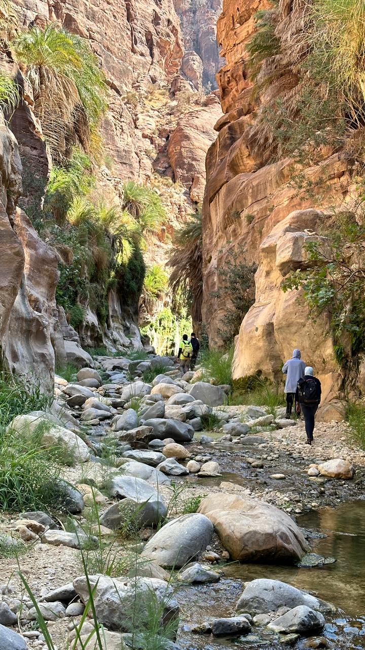 اربد: مبادرات اعرف وطنك لاستكشاف المناطق السياحية والطبيعية في المملكة