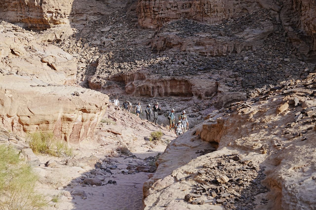 محافظات/رئيس مجلس مفوضي سلطة البترا  يشارك بمسارات درب الأردن