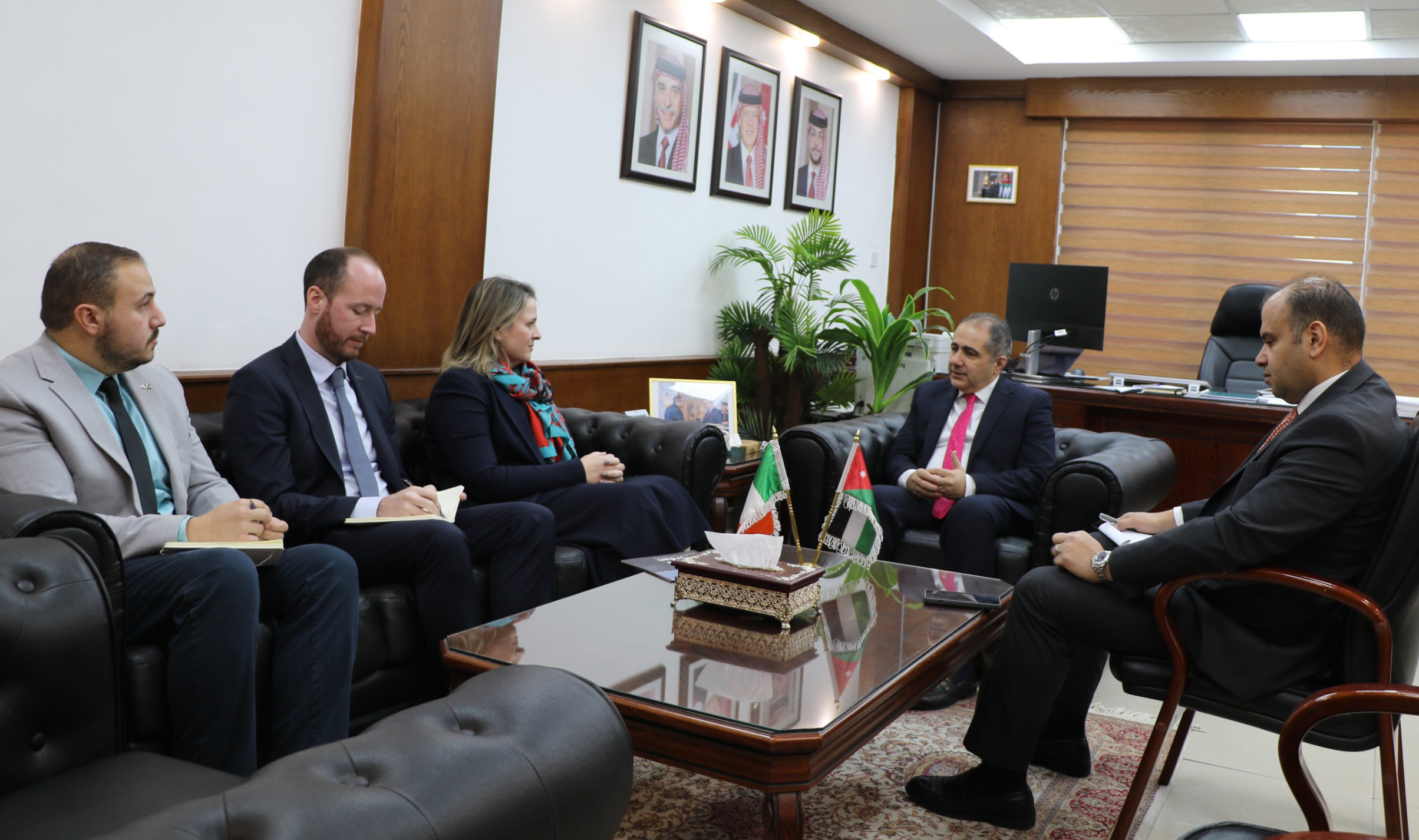 وزير الاستثمار يبحث والسفيرة الإيرلندية تعزيز التعاون المشترك