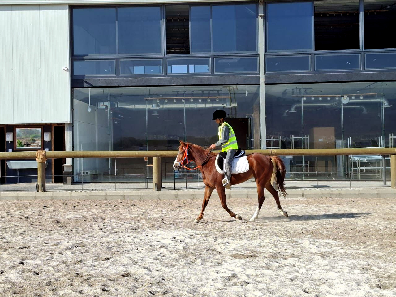 اختتام برنامج فن التعامل مع الخيول والحذو في العقبة 