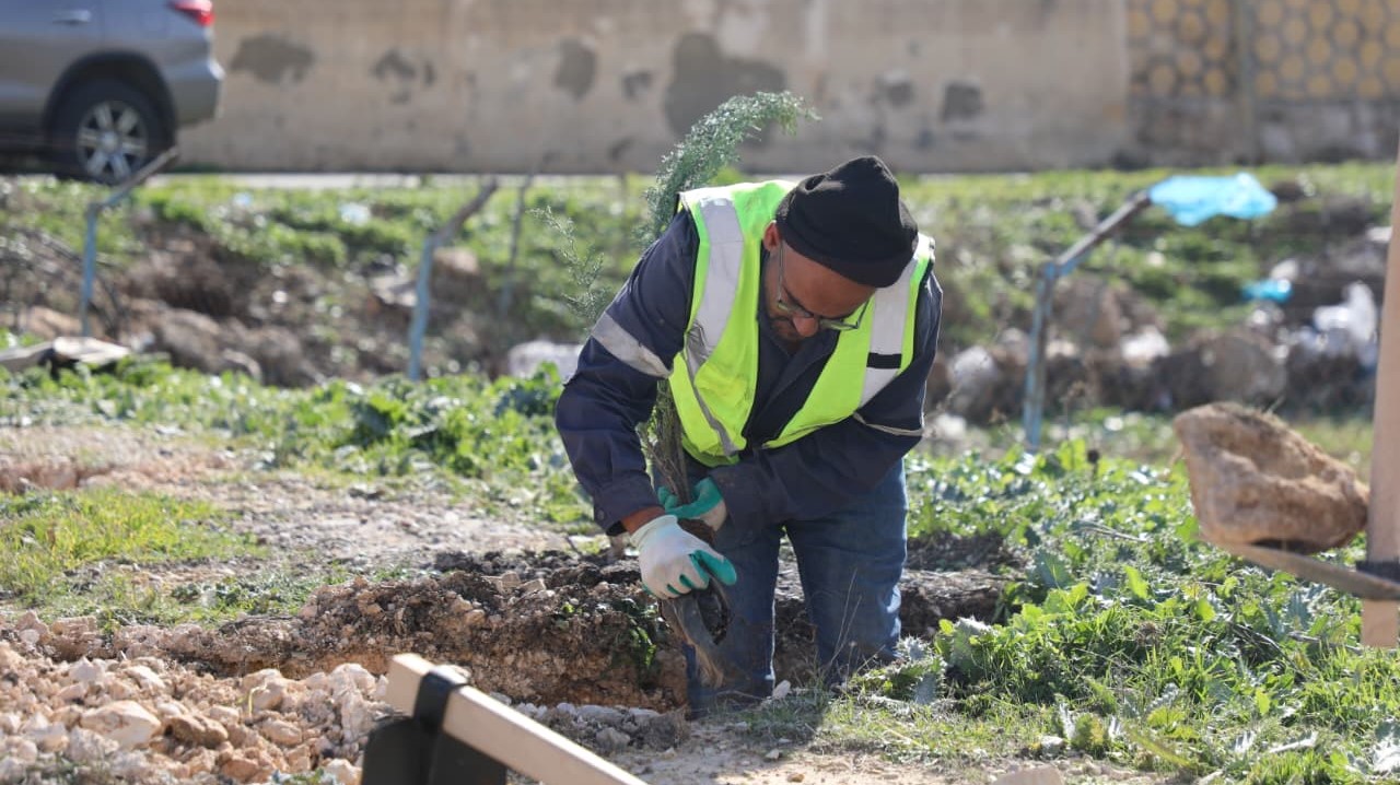 الإدارة المحلية تغرس 4500 شجرة في ناعور ضمن الحملة الوطنية للتشجير