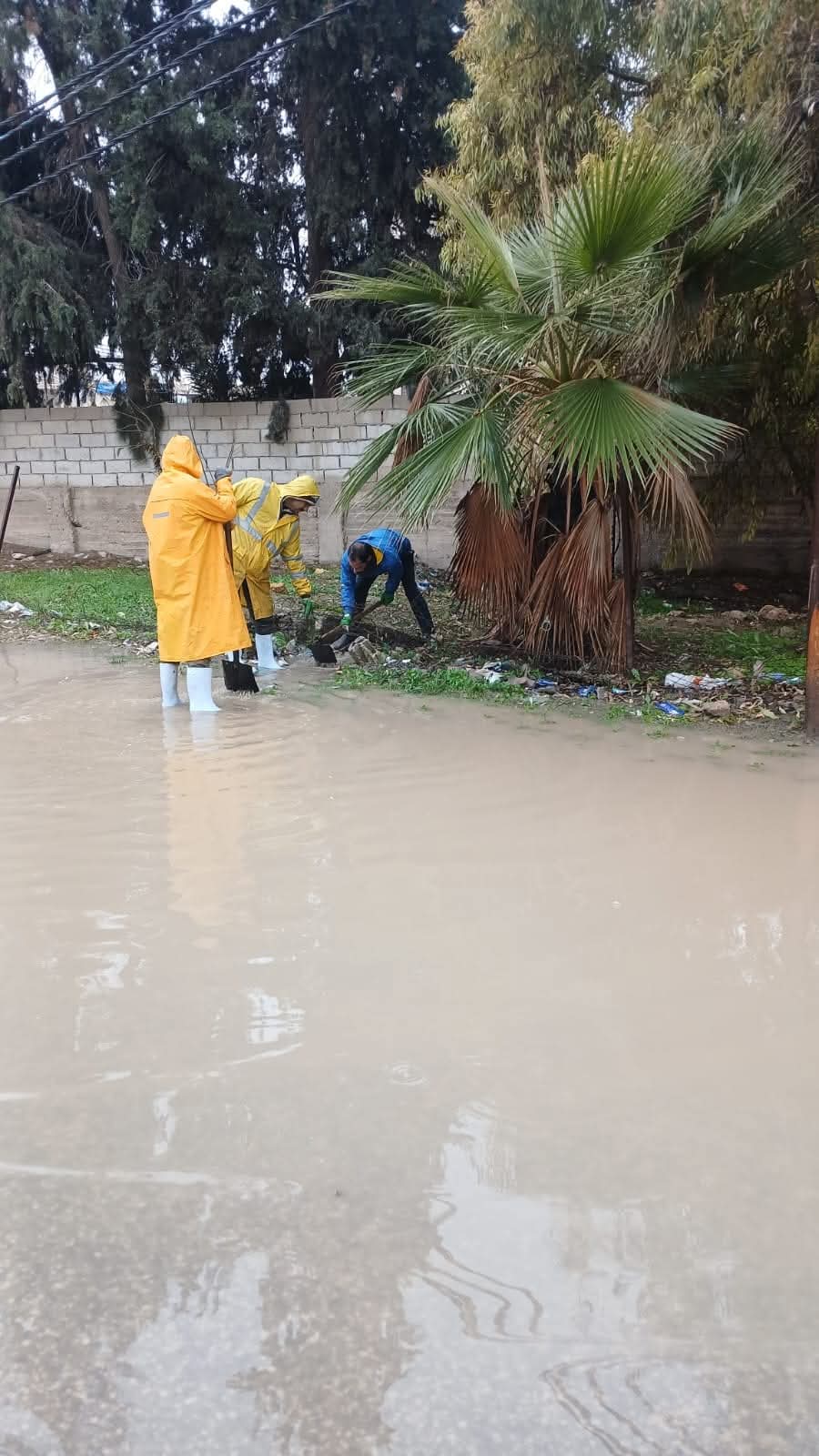 بلدية الرمثا تؤكد جاهزيتها للتعامل مع الحالة الجوية السائدة