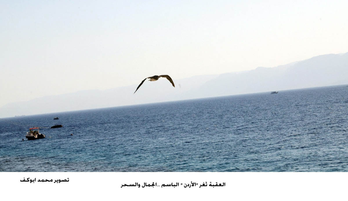 العقبة ثغر "الأردن " الباسم ...الجمال والسحر 