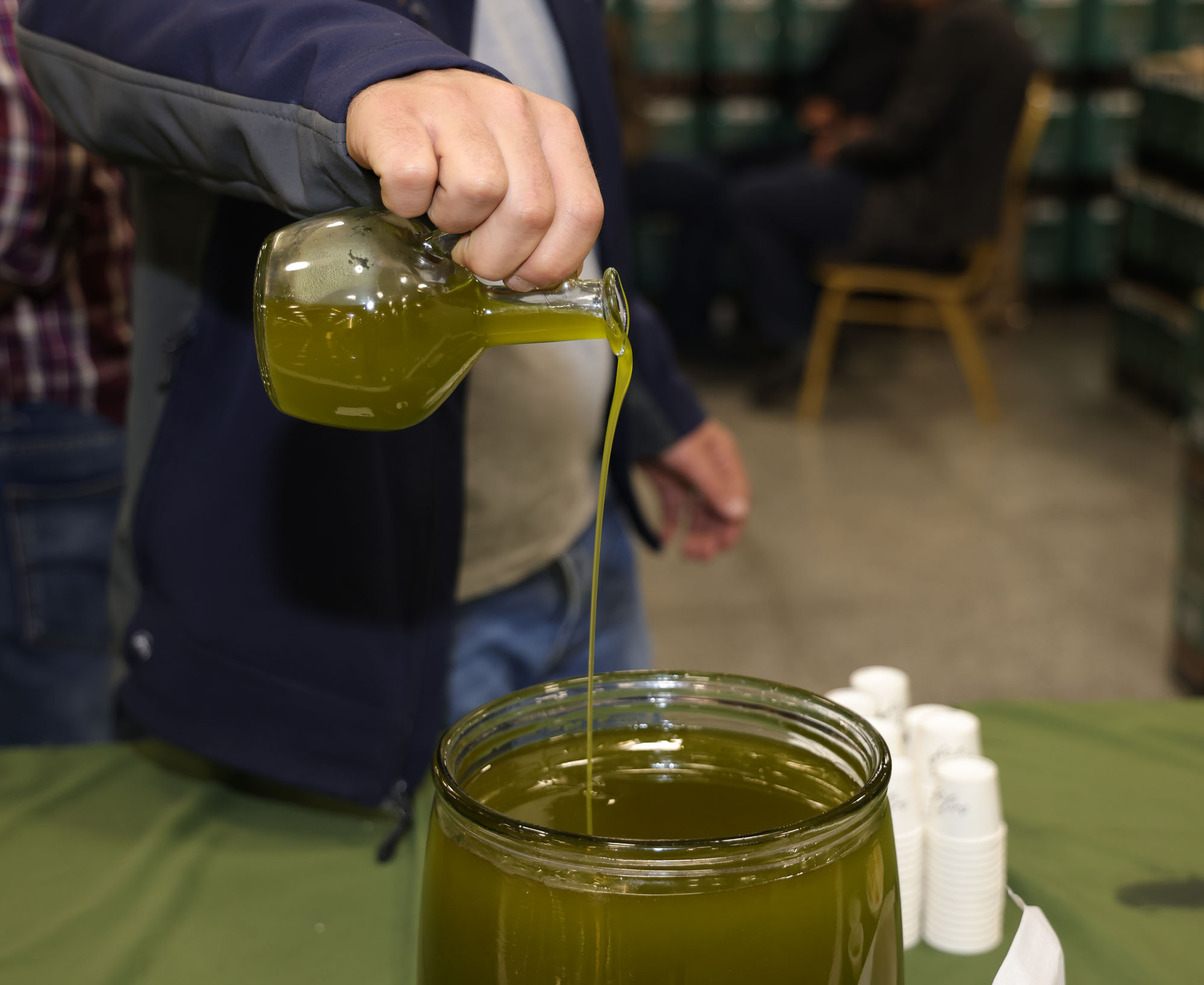 موسم الزيت والزيتون في الأردن ... موسم الخير والبركة ... تصوير عوض الطويل 