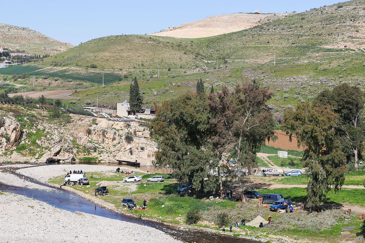 الربيع في جرش فرصة للتنزه والاستمتاع بجمال الطبيعة  تصوير: احمد عبده 
