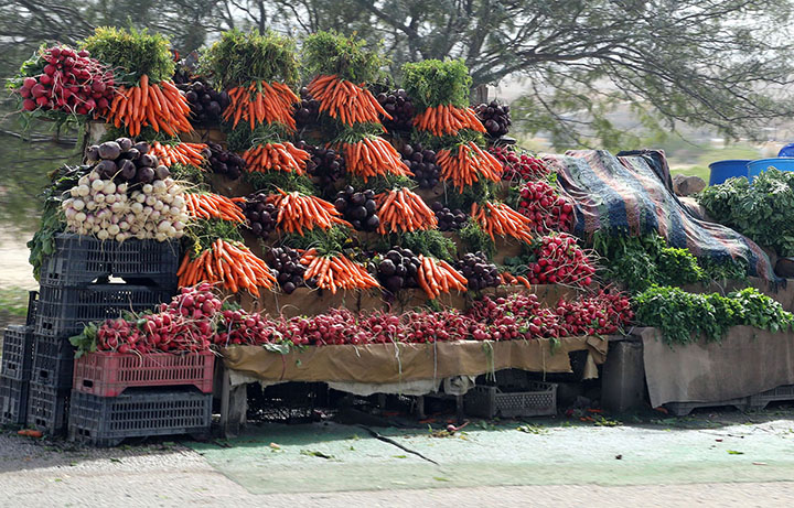 :إبداع في عرض الخضروات لجذب المشترين تصوير: نزال ابو كف