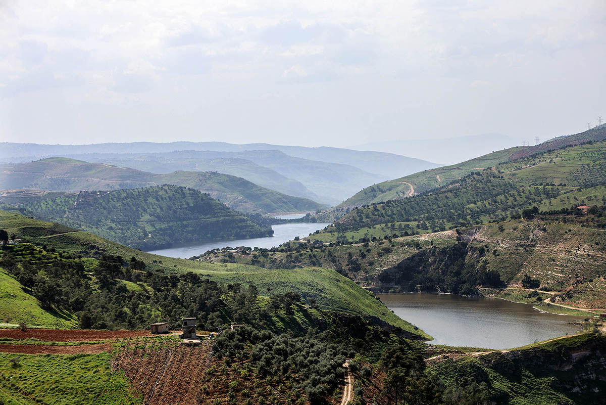 جمال الطبيعة الخلابة في جبال مدينة جرش تصوير: عوض الطويل 