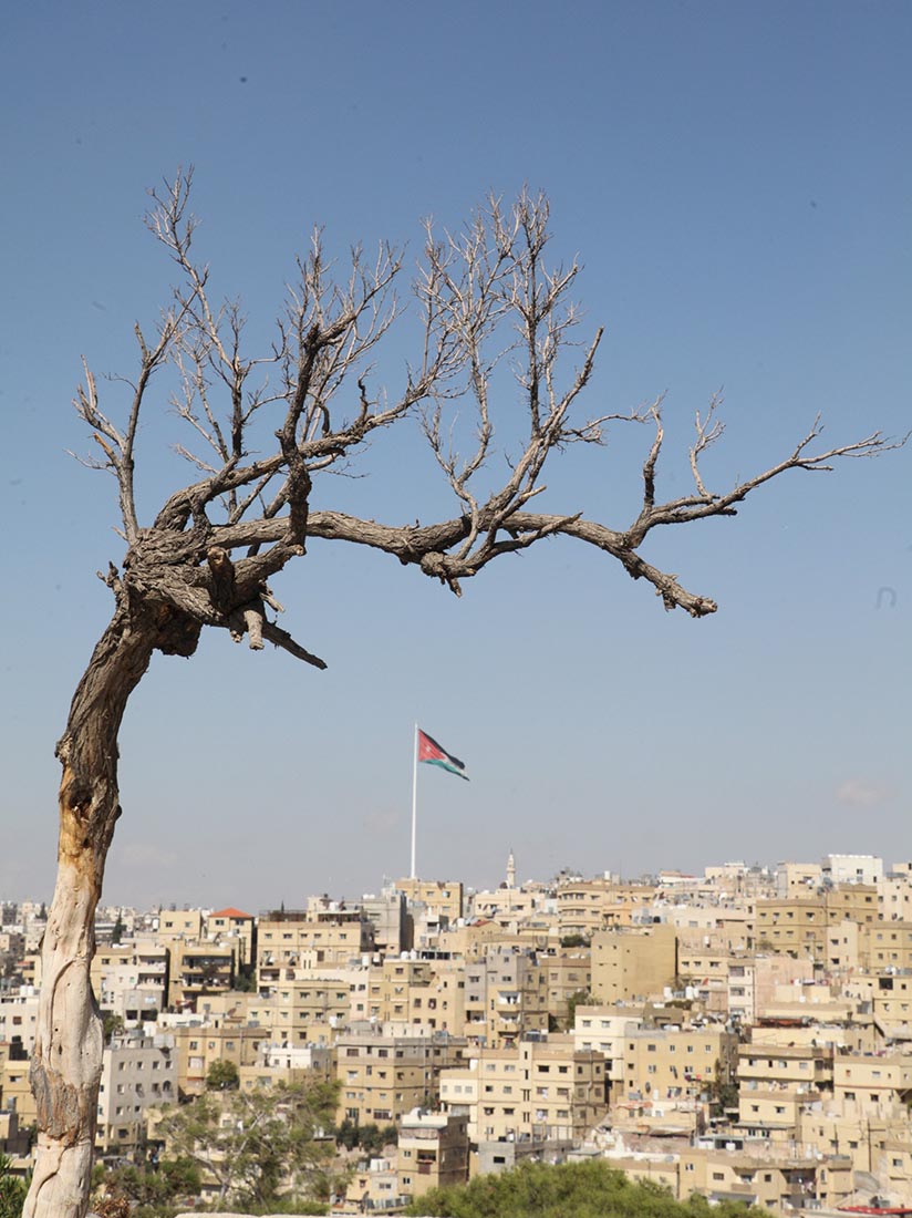 من جبل الى جبل يعلو علم الوطن خفاق ... المصور الصحفي : محمد ابو كف